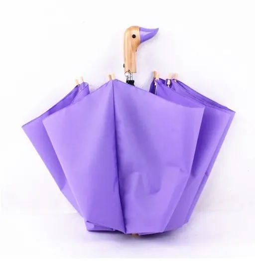 Fancy handle 2 fold Duck head wooden handle umbrella new design auto folding umbrella, detail 3
