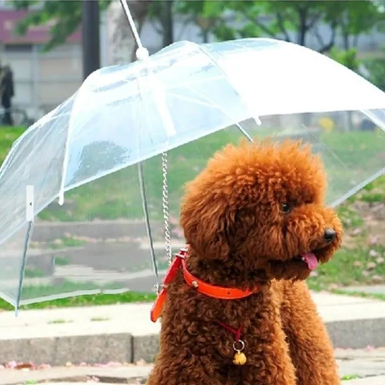 sun pet dog umbrella, image 1