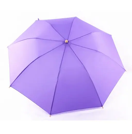 Fancy handle 2 fold Duck head wooden handle umbrella new design auto folding umbrella, detail 2