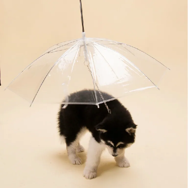 sun pet dog umbrella, detail 2