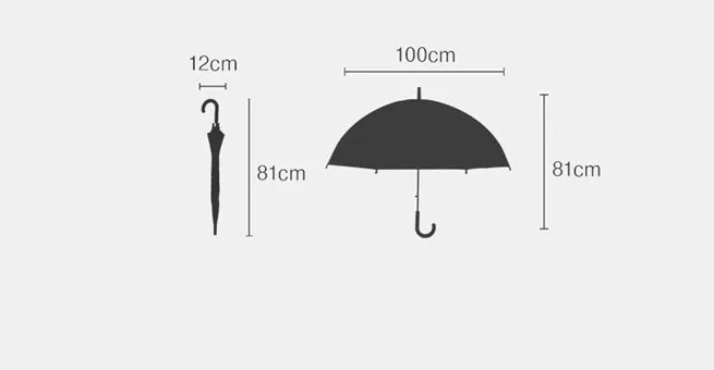 Lotus 2022 Transparent Laser Colorful Straight Auto Open PVC Umbrella,细节图 2