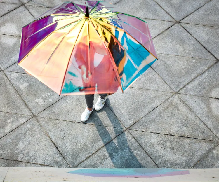 Lotus 2022 Transparent Laser Colorful Straight Auto Open PVC Umbrella,细节图 5