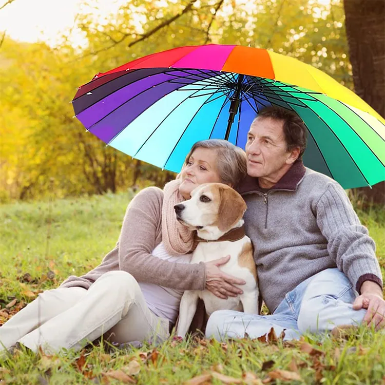 Straight Rainbow Umbrella for Ladies Gifts، صورة تفصيلية 4