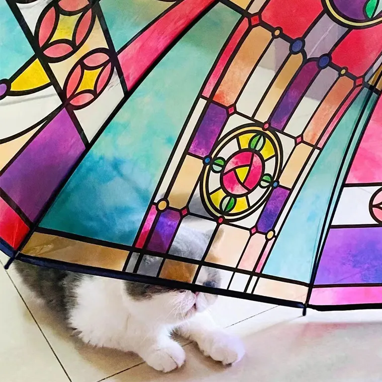 POE umbrella with Special Colorful Window Printing، صورة تفصيلية 2