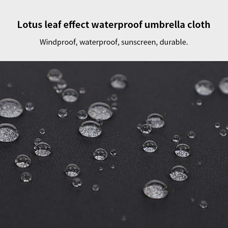 Wrapped Edge Dot Pagoda Umbrella for Ladies، صورة تفصيلية 3