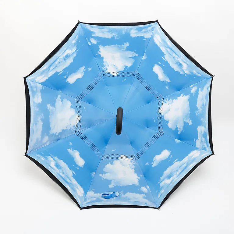 Reverse Umbrellas، الصورة 1